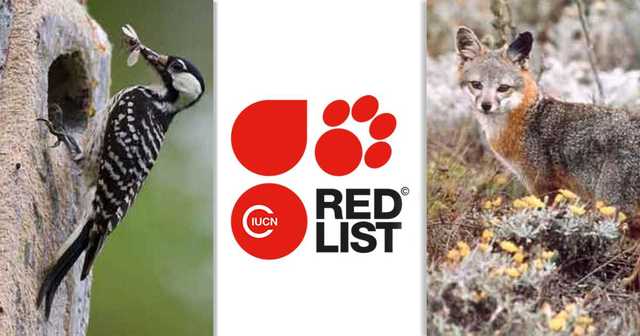 Lista roja de especies amenazadas