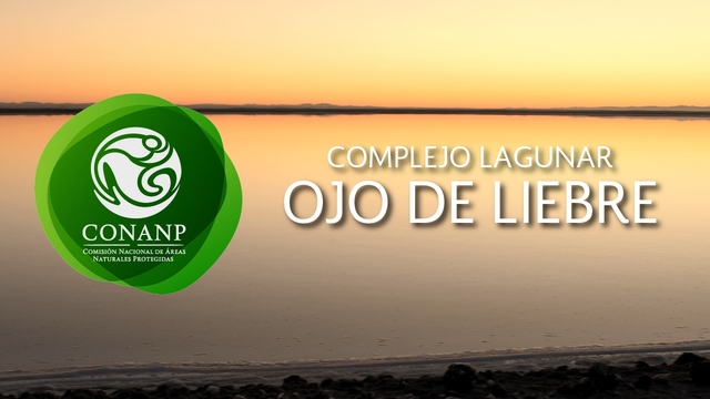 Reserva de la biosfera complejo lagunar ojo de liebre
