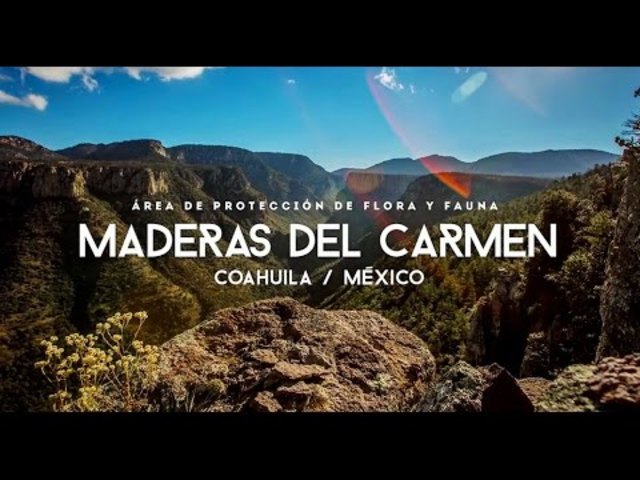 Área de protección de flora y fauna maderas del carmen