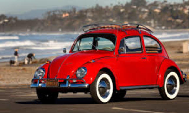 HISTORIA DEL VOCHO DE 1995