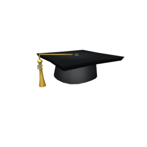 I graduated high school