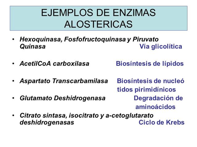 Libro con 3196 enzimas diferentes