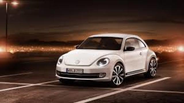HISTORIA BEETLE 2019
