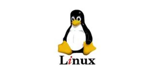 LINUX