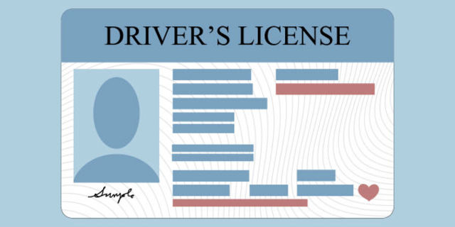 Junior Driver Licence