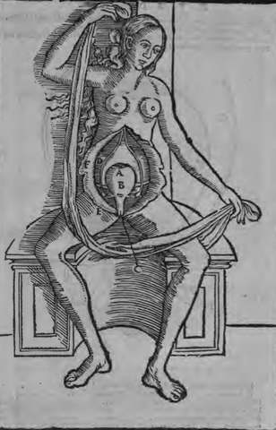 FISIOLOGIA EXPERIMENTAL