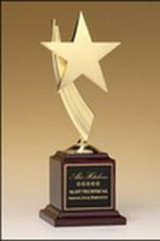 Napoleon becomes Emperor