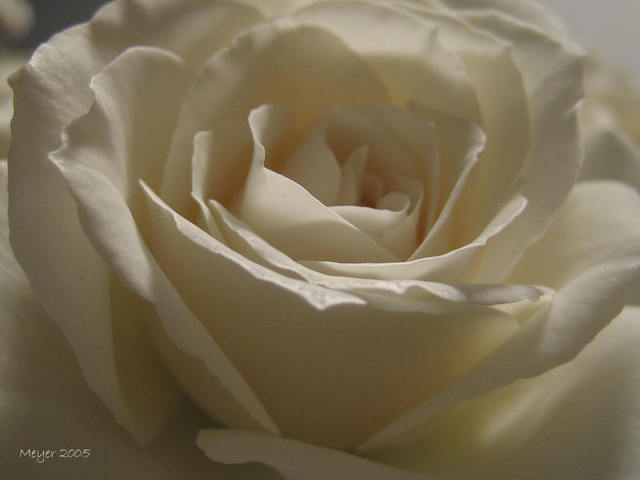 Mary Jane's Reaction to the Slaves