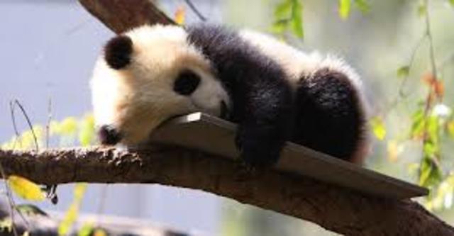 El 1er mejor día de mi vida