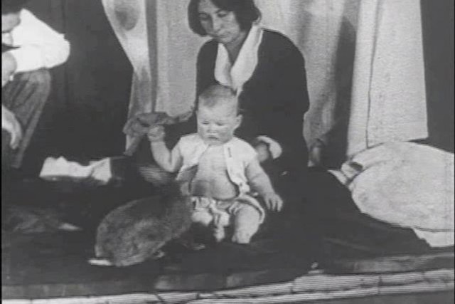 Condicionamiento del pequeño Albert y estudio de las emociones