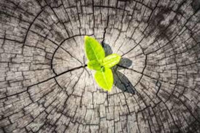 Comencé a trabajar en Nutrisa