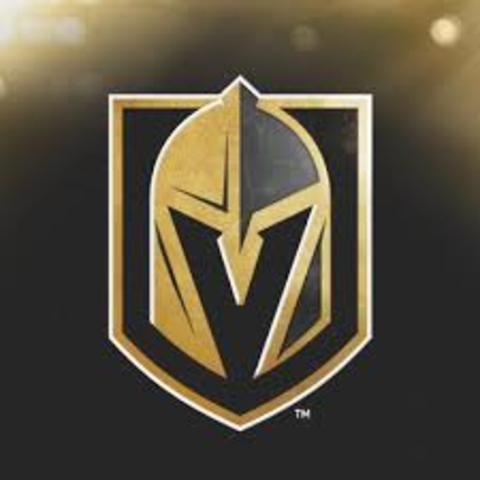 vegas golden knights entered the NHL