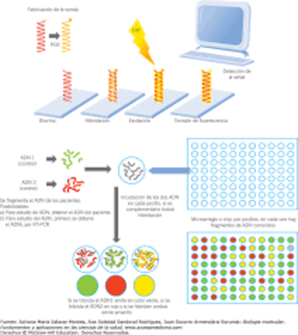 Herramienta automatizada para la secuenciación de ADN