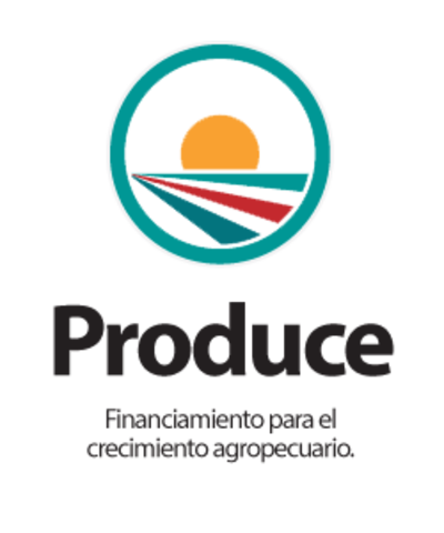 PROGRAMA DE APOYOS DIRECTOS Y PRODUCTIVOS AL CAMPO (PRODUCE)