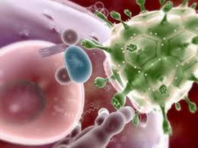 Aparece virus de Hepatitis B y C, VIH, VPH