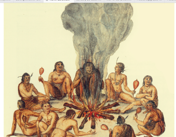 North Carolina colony found