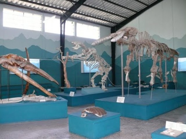 When I visited the Zacapa museum