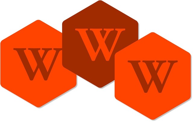 World Wide Web introduced to the public.