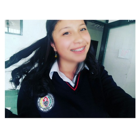 change of school to the educational institution san Gabriel