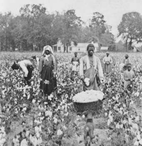 Sharecropping