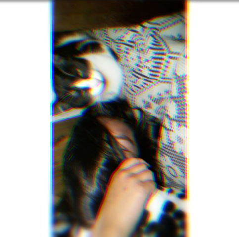 the day of my birthday they gave me a cat that is my adoration