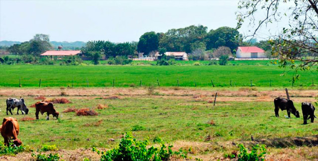 in 2014 I arrived at cajica