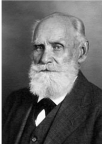 Otro representante del método conductista