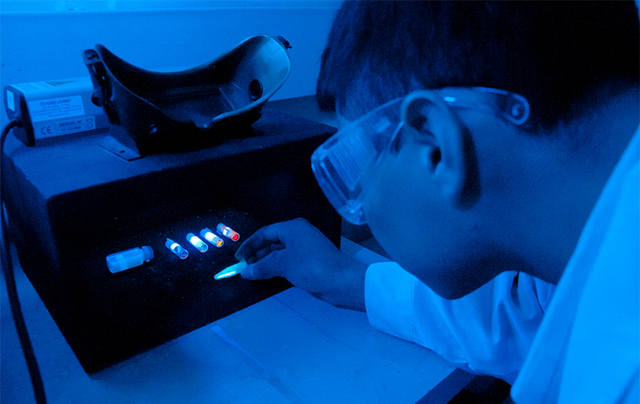 Creación de un mapa completo a nanoescala 3D del mundo