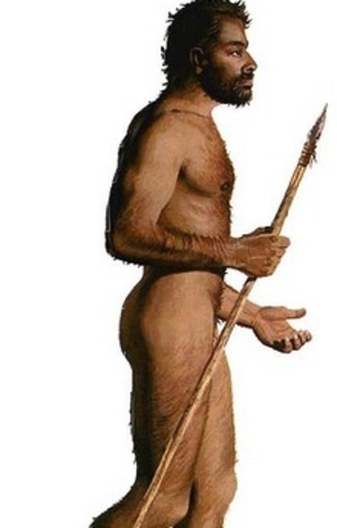 Homo Sapiens Sapiens