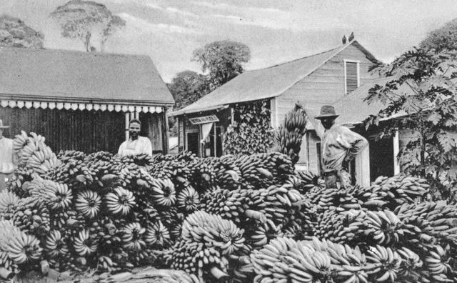 La United Fruit Company se retira de Guatemala