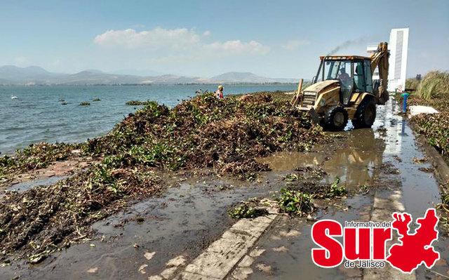 Un crecimiento preocupante.