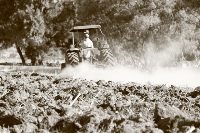 Programa Integral de Desarrollo Rural (PIDER)
