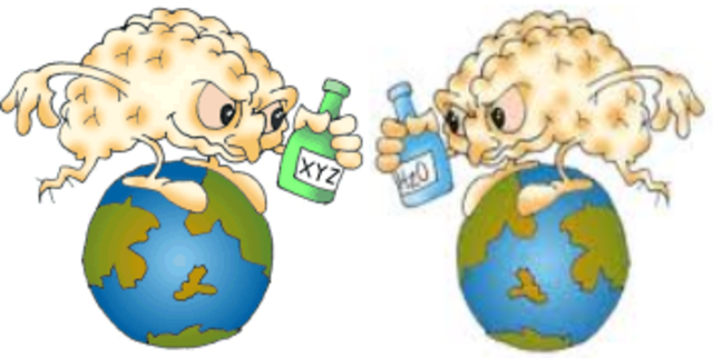 Hilary Putnam, Twin Earth Thought Experiment, Born 31 July 1926 died 13 March 2016