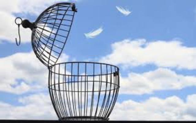 ABSOLUCIÓN CÉSAR STRAWBERRY AN