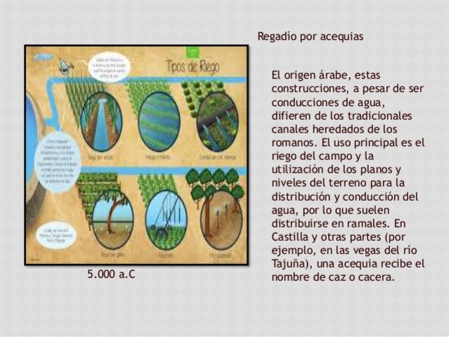 REGADÍO POR ACEQUIAS