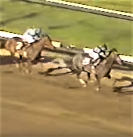 Wins Haskell Invitational