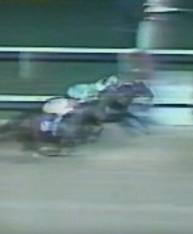 Wins Young America Stakes