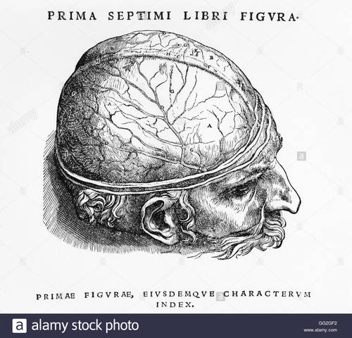 De humanis corporis fabrica.