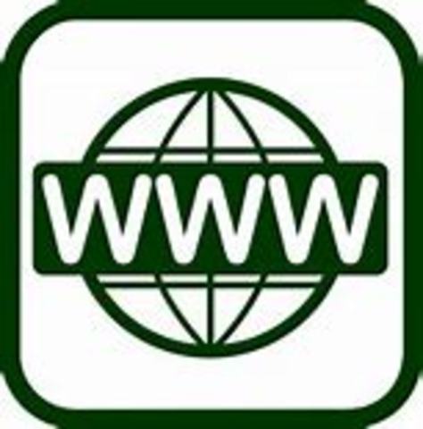 The World Wide Web