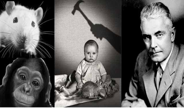 CONDUCTISMO:  J.B.  Watson