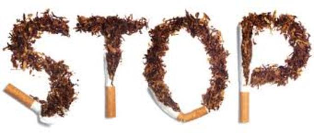 Cultivation of Tobacco