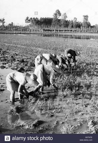 Socio-economic situation in China