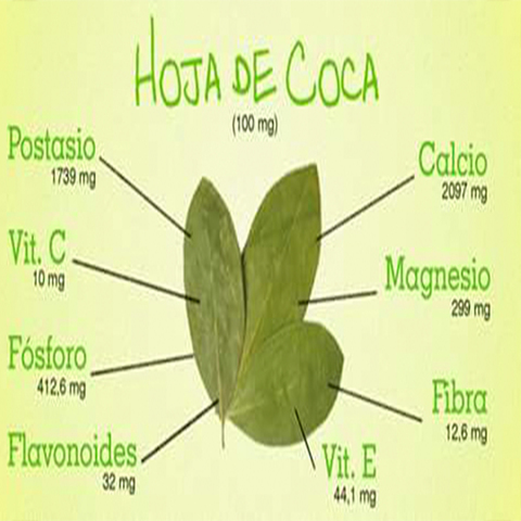 Carl koller / Sigmad Freud