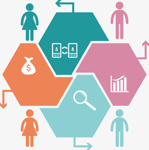 PRINCIPIOS DE ORGANIZACIÓN