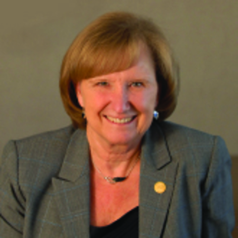 2009 - 2010 11° Edición manual AAMR