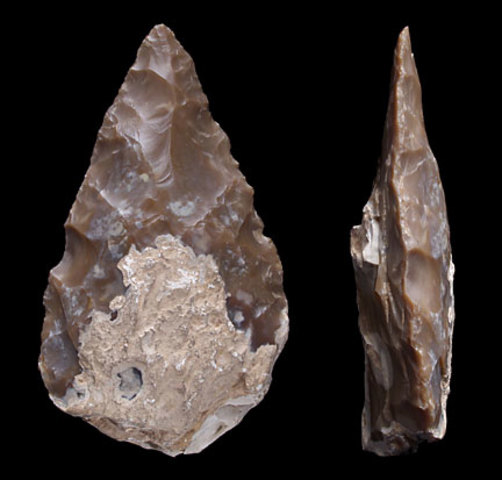 Hand axe (Tool/Weapon)