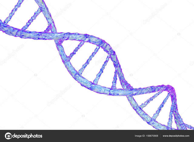 Watson, Crick y Wilkins proponen el modelo de la doble hélice.