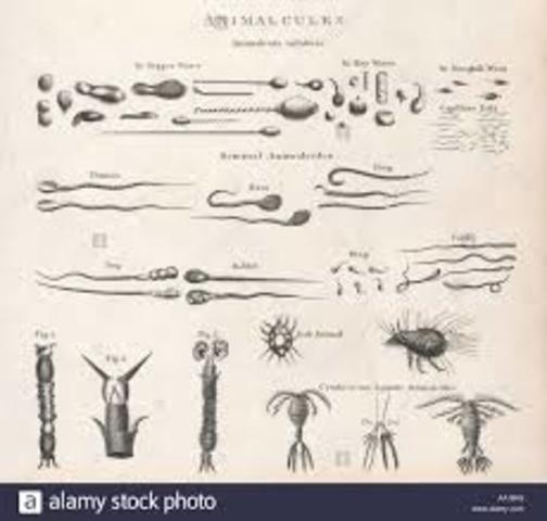 PRIMEROS MICROORGANISMOS EN EL AGUA