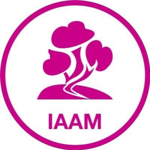 CREACIÓN DEL (IAAM)