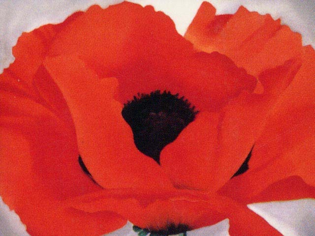 moved to Art Institute of Chicago